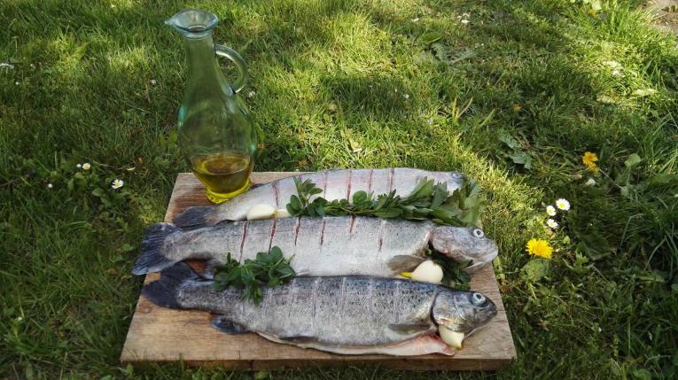 Pstruhařství Dolní Babákov