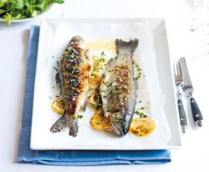 Pstruhařství Dolní Babákov