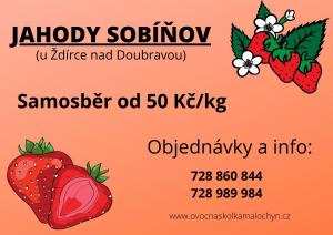 Samosběr jahod